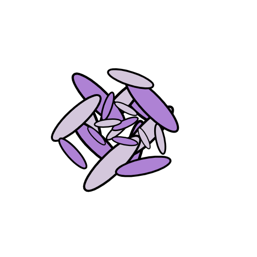 Wednesday Aggregate: Integrated Resource Planning; Transportation Electrification; Long-Term Gas Planning